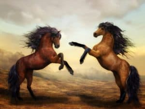 horses 2904536 1280 300x225 - Interpersonal Conflict