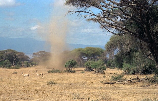 640px 1993 141 31A Amboseli dust devil 1 - Knowing and the Wind