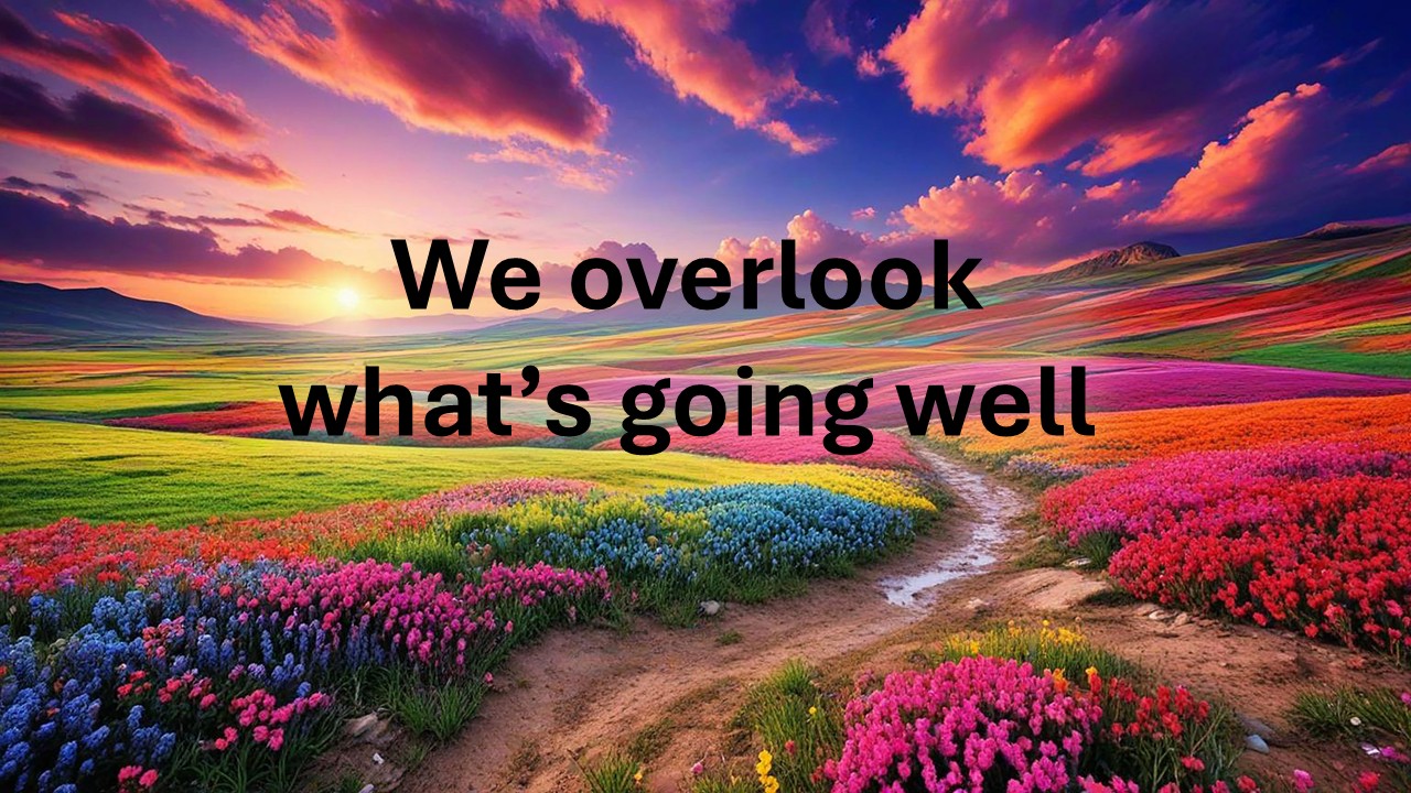 WHAT IS GOOD