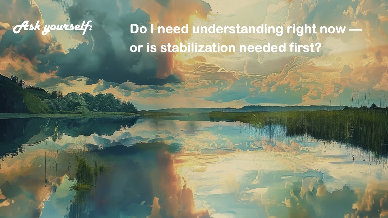 UNDERSTAND OR STABILIZE